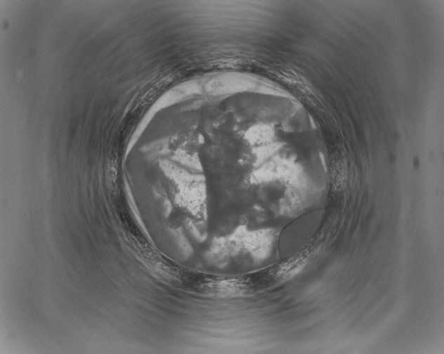 X0000067370365200604211548