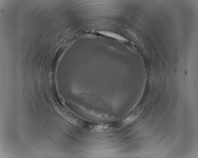 X0000067370366200604211548