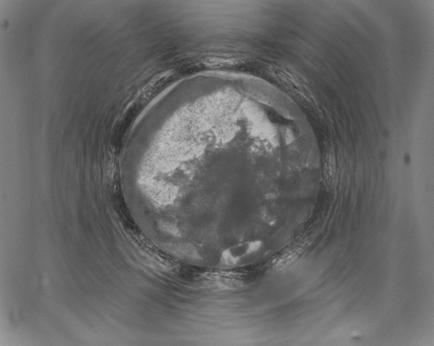 X0000067370367200604211548