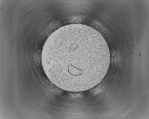 X0000067370370200604211548