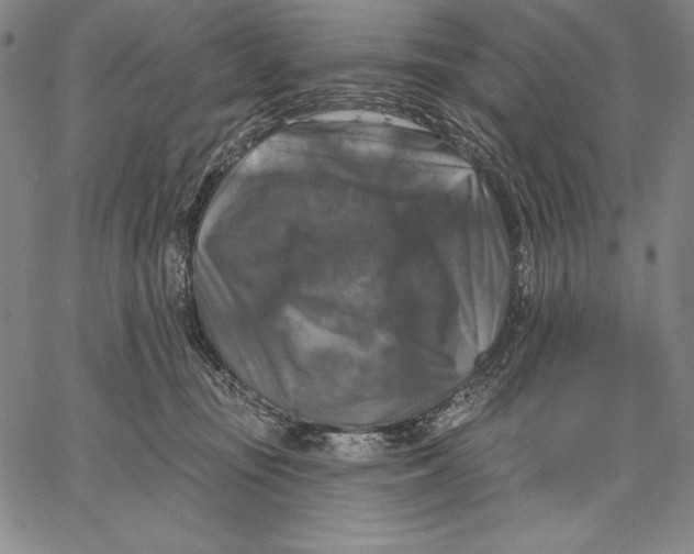 X0000067370371200604211548