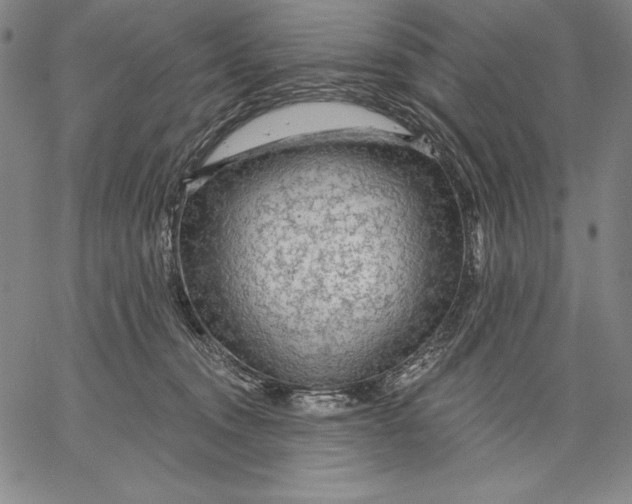 X0000067370372200604211548