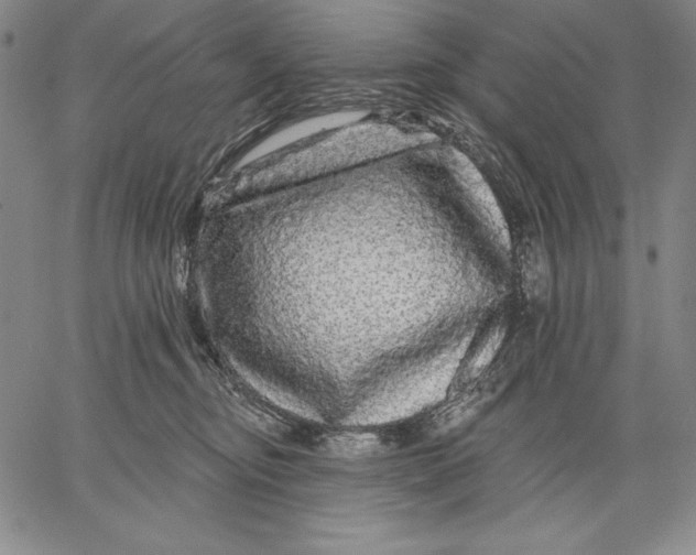 X0000067370374200604211548