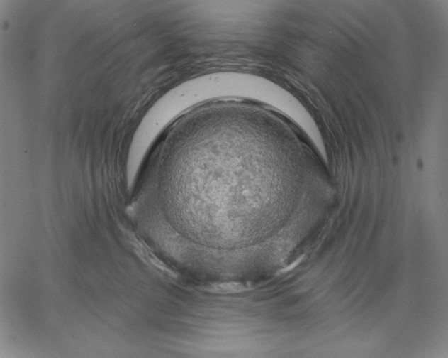 X0000067370380200604211548