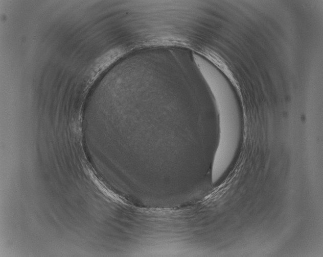 X0000067370389200604211548