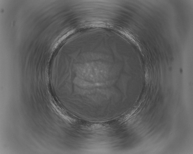 X0000067370390200604211548