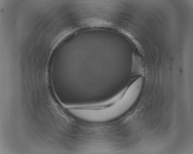 X0000067370391200604211548