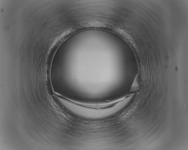 X0000067370395200604211547