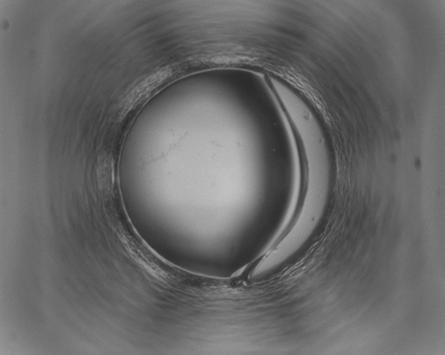 X0000067370397200604211547