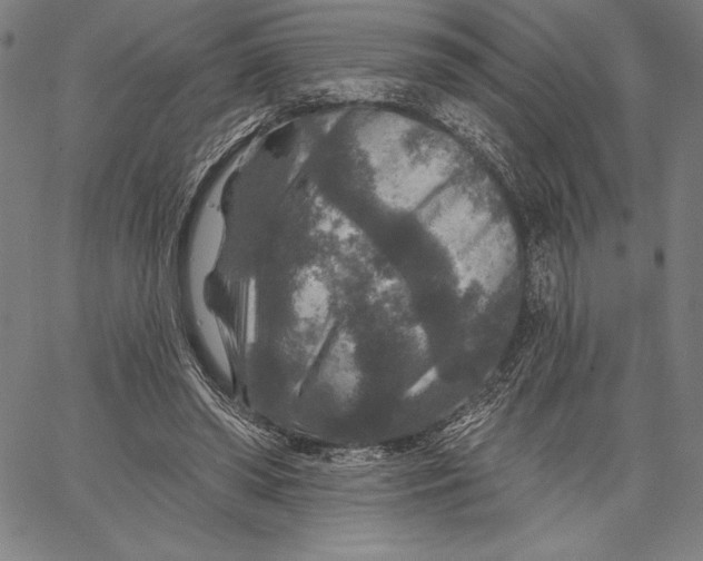 X0000067370398200604211547