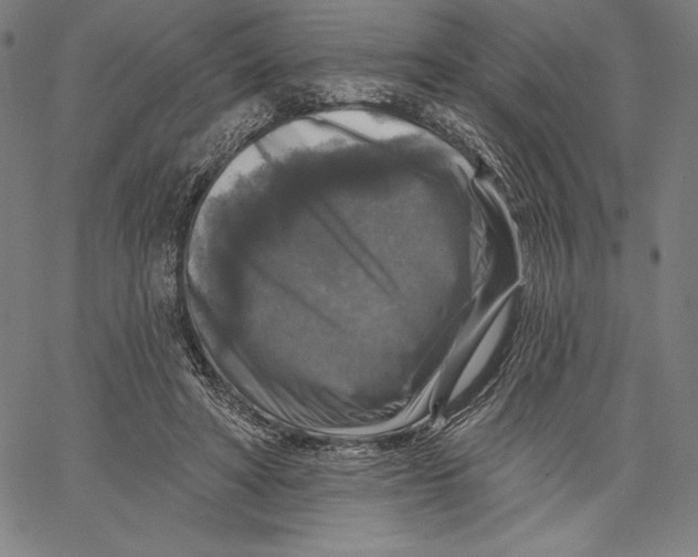 X0000067370402200604211547