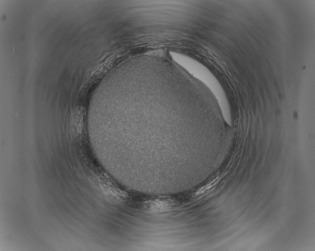 X0000067370412200604211547