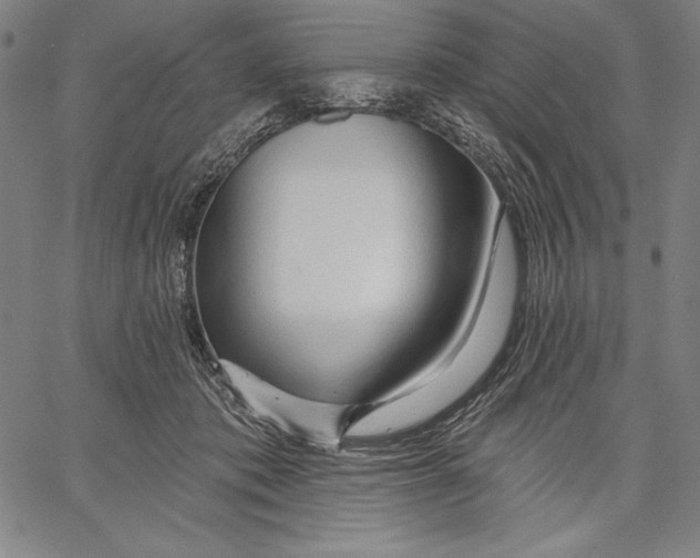 X0000067370413200604211547