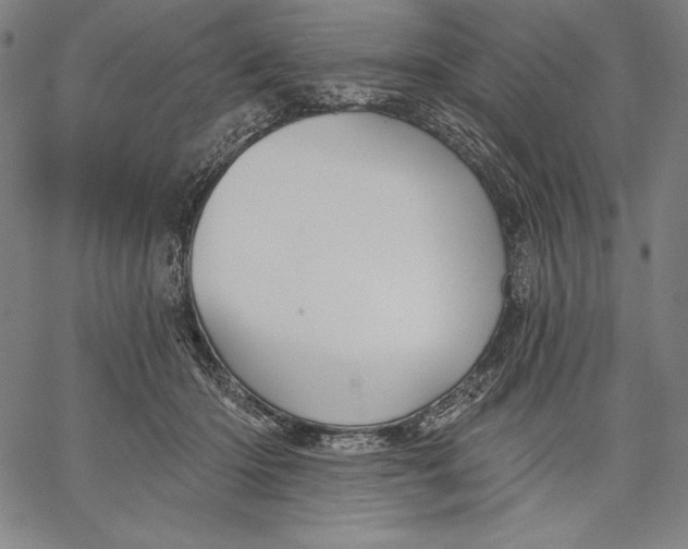 X0000067370414200604211547