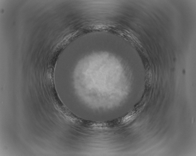 X0000067370415200604211547