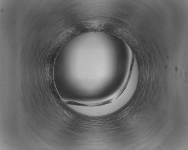 X0000067370416200604211547