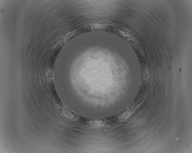 X0000067370419200604211547