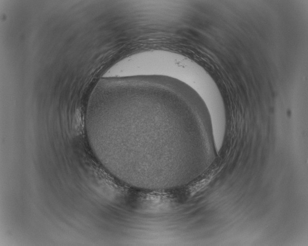 X0000067370420200604211547
