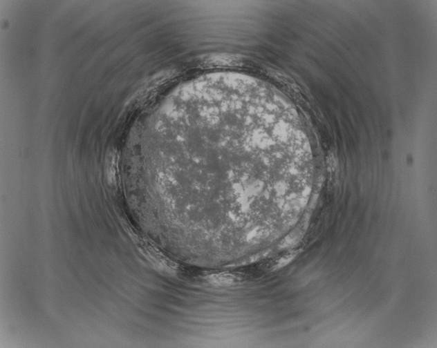 X0000067370423200604211547