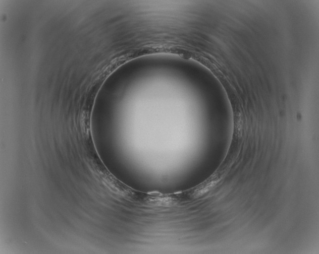X0000067370428200604211547