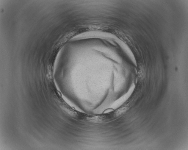 X0000067370430200604211547