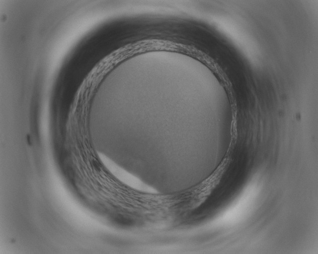 X0000067370431200604211547