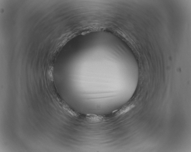 X0000067370432200604211547