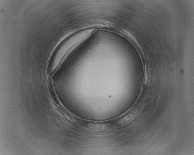 X0000067370435200604211546