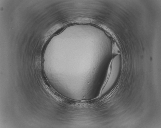 X0000067370437200604211546