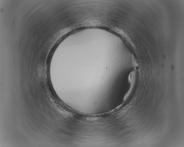 X0000067370439200604211546