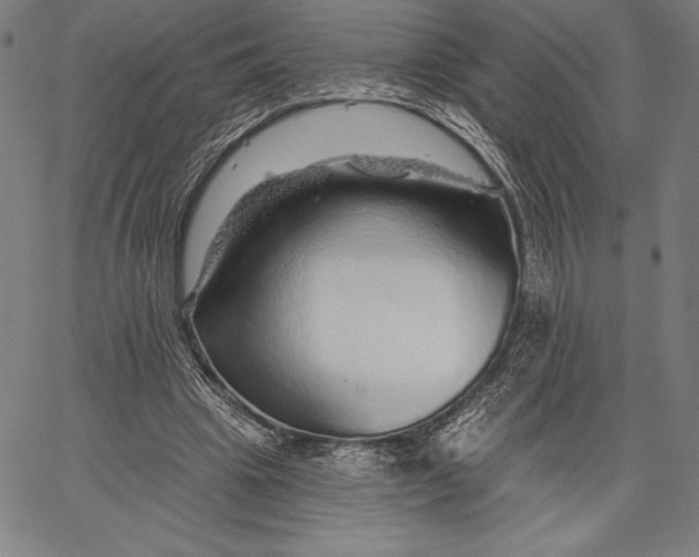 X0000067370441200604211546