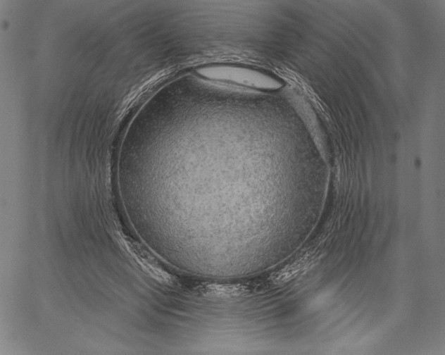X0000067370442200604211546