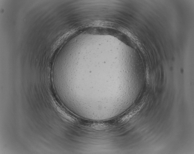 X0000067370445200604211546