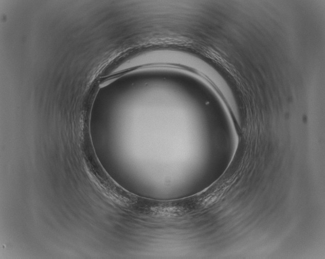 X0000067370448200604211546
