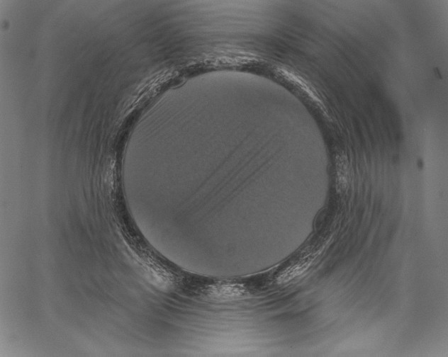 X0000067370451200604211546