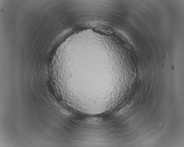 X0000067370453200604211546