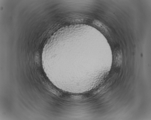 X0000067370457200604211546