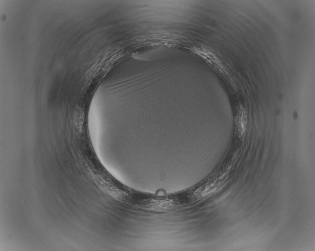 X0000067370458200604211547