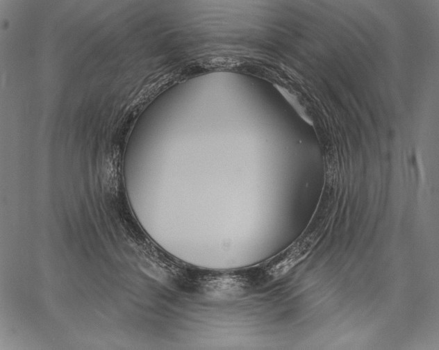 X0000067370460200604211547
