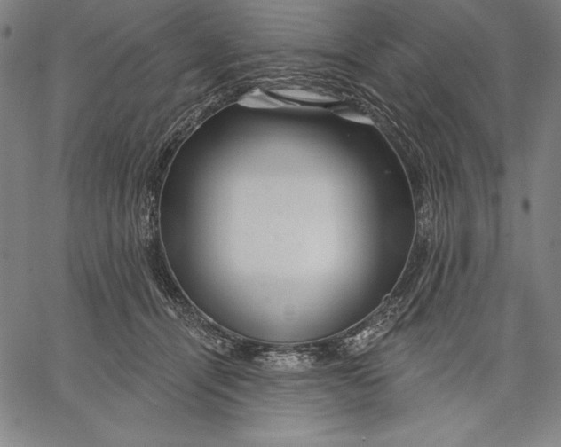 X0000067370464200604211547