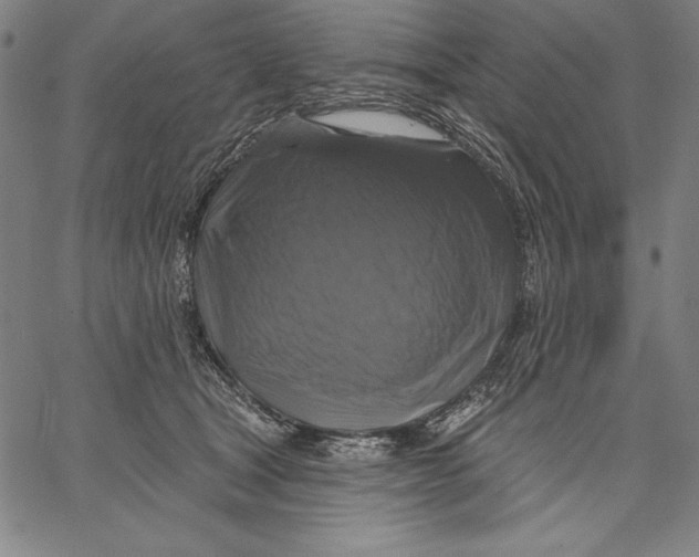 X0000067370465200604211547