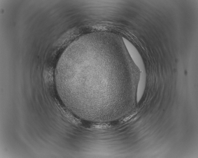 X0000067370466200604211547