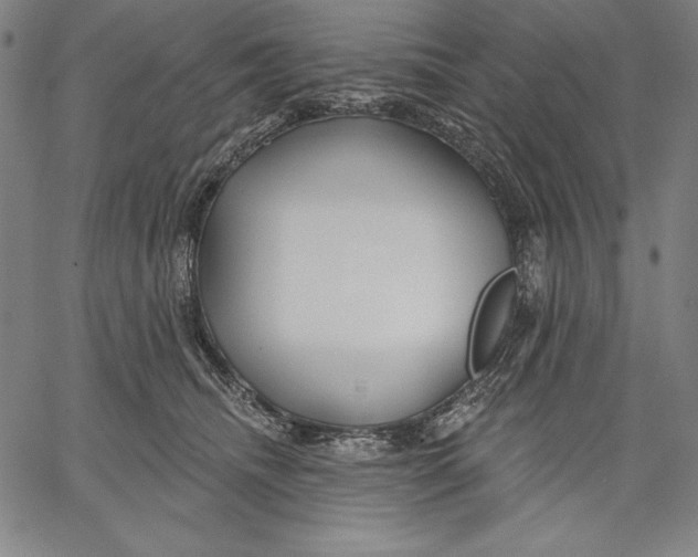 X0000067370468200604211547