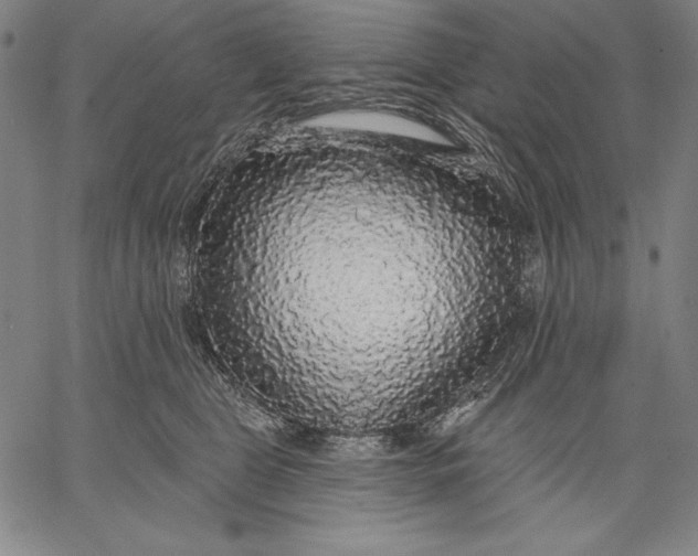 X0000067370469200604211547