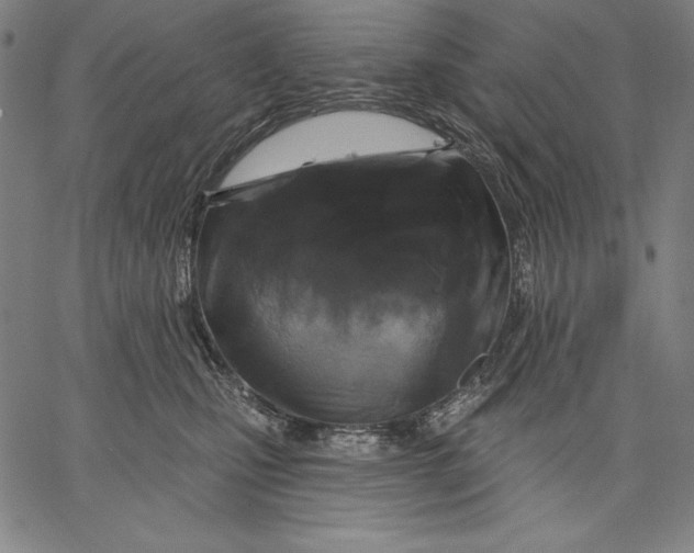 X0000067370471200604211547