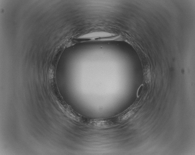 X0000067370472200604211547