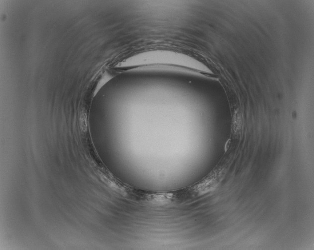 X0000067370474200604211547