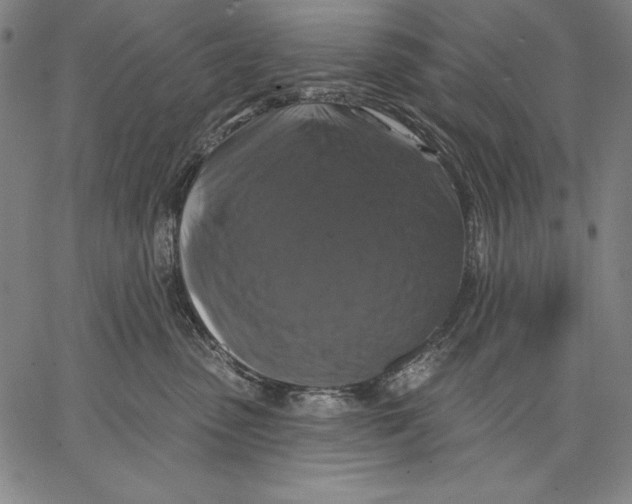 X0000067370475200604211547