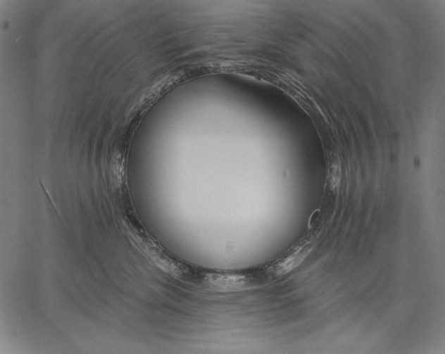 X0000067370476200604211547