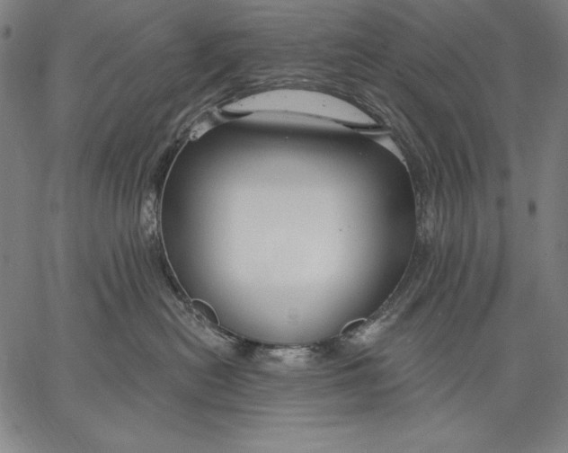 X0000067370478200604211547